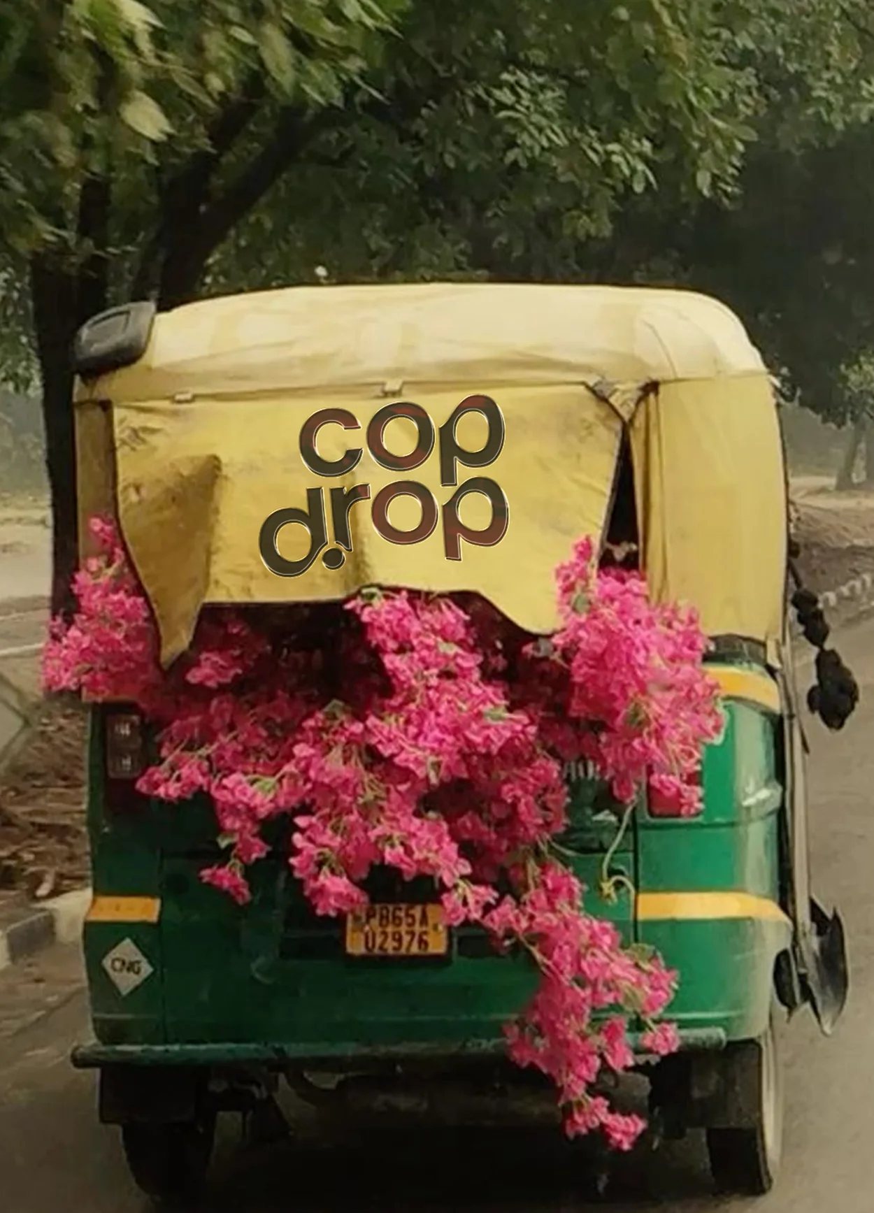 An auto rickshaw with a cop drop hood, its back spilling pink bougainvillea.